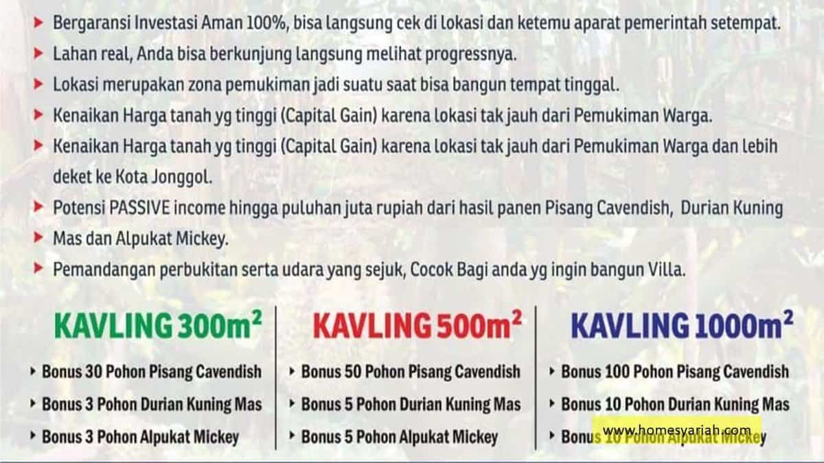 www.homesyariah.com-Kavling-Kebun-Pisang-Cavendish-dan-Bukit Villa-Cavendish-Jonggol-015